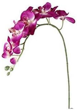 Danapp Simulation single branch 8 small moth orchid simulation flower plastic fake flower flower (Dark purple)