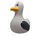 Produktbild Quietscheente 9cm Möwe Badeente Rubber Duck Wasserspielzeug Gummiente (Mattes v. Sprotte)
