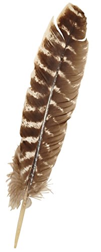 Preisvergleich Produktbild Alterras - Räucher-Zubehör: Truthahnfeder getigert