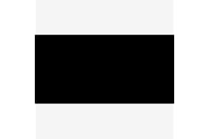 COLORMAKER INDUSTRIES Permaset Aqua Screen Printing Ink Jet Black 300ml