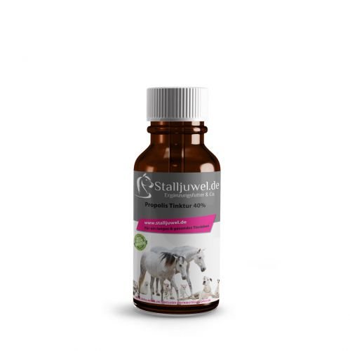 Preisvergleich Produktbild Propolis Tinktur 100ml garantiert 40% Propolis