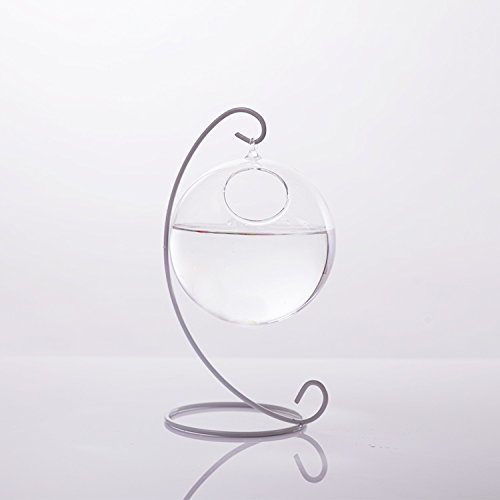 MagiDeal Set Kugelform 10cm Glasvase Tischvase Blumenvase mit Eisen Pflanzen Halter Ständer Landschaftsbau Garten Deko - 2