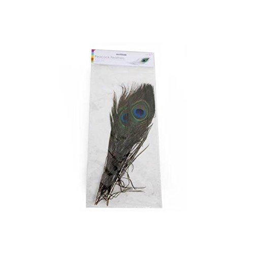 4 x Pfau Federn Schwanz natur 25,4–30,5 cm lang craft Blumenstrauß DIY Dekoration