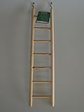Karlie Sittichleiter - 30 cm
