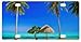 Produktbild Ganheuze Personalized Tropical Paradise Ocean Beach Scene with Palm Trees Front Mental License Plates 6 X 12 Car License Plate