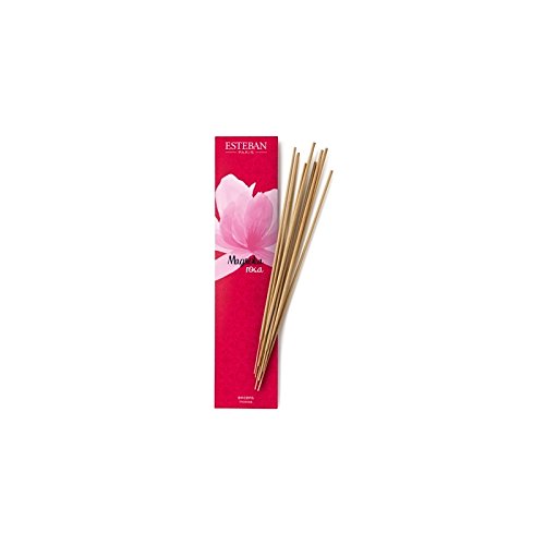 Preisvergleich Produktbild Esteban Magnolia rosa Bambus Räucherstäbchen Inhalt 20 Stück