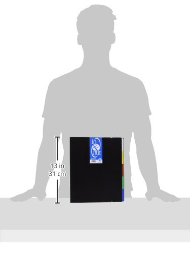 Grafopl  s 39408010   Carpeta fundas extraibles  tama  o A4  color negro  80 fundas