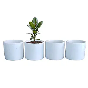 SHREE ENTERPRISES Ceramic Pot, White, 9x8 cm, 4 Pc
