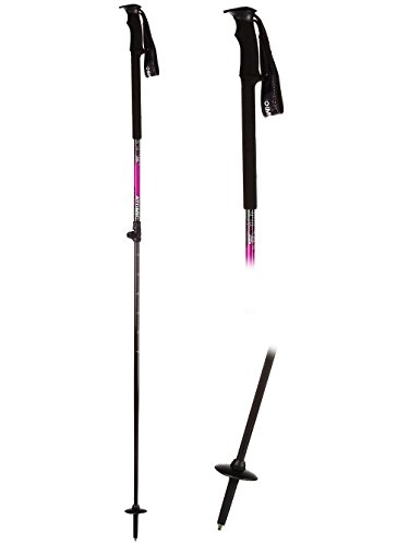 Herren-Skistock-Atomic-Backland-Carbon-Skistcke