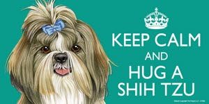 Shih Tzu with Bow Dog Gift - 'KEEP CALM' LARGE colourful 4" x 8" MAGNET - High Quality flexible magnet for indoor or outdoor use for your Fridge, Car, Caravan or use on any flat metal surface -Water proof and UV resistant.