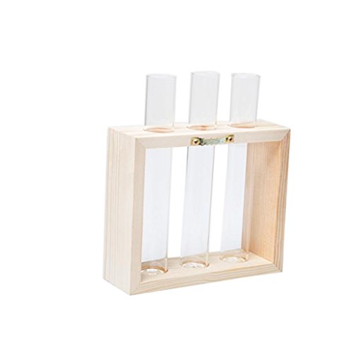 MagiDeal Kristall Reagenzglas Glas Vase In Holzständer Wand Hängen Für Blumen Pflanzen