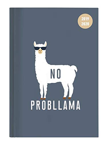 Collegetimer Llama 2019/2020 - Lama - Schülerkalender A6 (10 x 15) - Weekly - 224 Seiten - Terminplaner