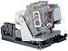 Produktbild MicroLamp Projector Lamp for BenQ 3000 Hours, 180 Watt, ML12180 (3000 Hours, 180 Watt fit for BenQ Projector W1000, W1000+)