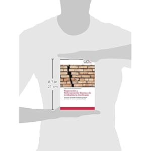 Reparación y Reforzamiento Sísmico de la Albañilería Confinada: Técnicas probadas mediante ensayos sísmi