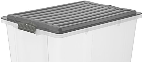 Rotho       Caja para Guardar Compact Transparente con Tapa  pl  stico  Transparente y Gris  A4   13 l