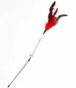 Smarty Pet Cat Feather Spring Stick with Interactive Bell Rod Wand Playing Toy -1 Piece (Color May Vary)