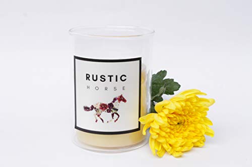 Green Bamboo - Soy Wax Scented Jar Candle