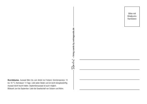 Fiorini Saatpostkarte 8er Set – Kornblume - 2