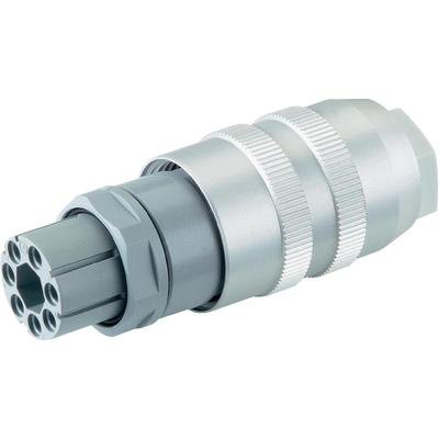 Preisvergleich Produktbild Hirschmann N6R EF LEIT.DOSE