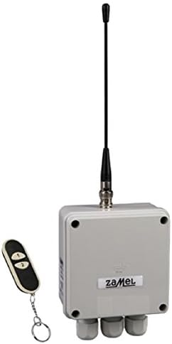 ETERO RWS-211D / N Radio Switch Set with Transmitter, 2-Channel (1 Piece)