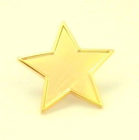 Gold Star Pin badges pair