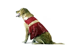 Woofika by iiLio Wedding Lahenga Dog Dress Ethnic Gown for Puppies, Cat & Female Dogs (M, Blue)