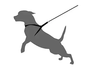 Soft Padded Body Set-Leash & Harness for Small Breeds-Color May Vary