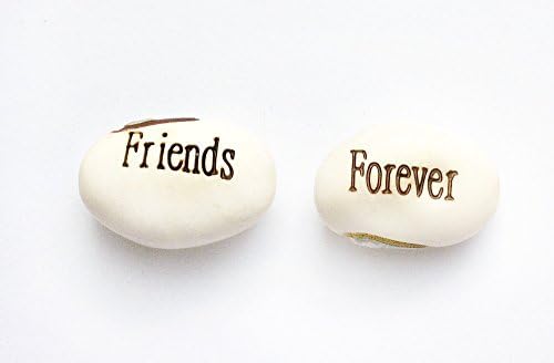 20 Magic Message Beans with the message FRIENDS FOREVER Party Gift Growing Words Easter Xmas Stocking Filler/valentines/wedding