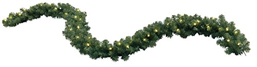 Star LED'Nebraska' Garland, beleuchtet 270 cm, 40 warmweiß LED outdoor, Trafo Vierfarb-Karton 612-22