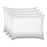 wometo 4er Set Federkissen 100% Federn 30x50 cm - 360 OekoTex Kissen Füllkissen Bezug Baumwolle weiß I Innenkissen/Kissenfüllung/kleine Kopfkissen (4 Stück) wometo 4er Set Federkissen 100% Federn 30x50 cm - 360 OekoTex Kissen Füllkissen Bezug Baumwolle weiß I Innenkissen/Kissenfüllung/kleine Kopfkissen (4 Stück)