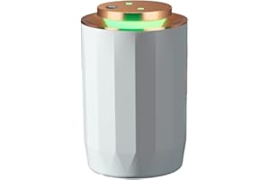 EVOMOSA Mini Luftbefeuchter 2200ml doppelter Spray ätherisches Öl Diffusor Aroma ätherisches Öl USB kühler Nebel Luftbefeuchter, super leise für Auto Büro Schlafzimmer (Weiß)