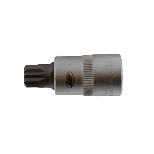 Schraubendreher-Einsatz Innenvielzahn-Schrauben Vielzahn 1/2 M14 Länge 55mm