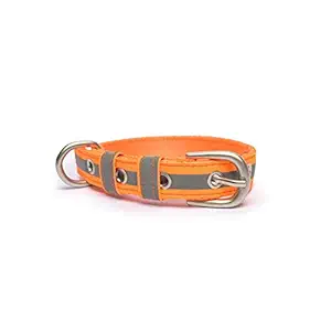 PetWale Reflective Orange Dog Belt Collar (Orange, Small)