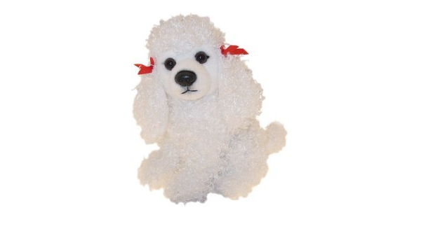 fluffy toy poodle