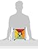 Lamaze Contrast Panda Blankie