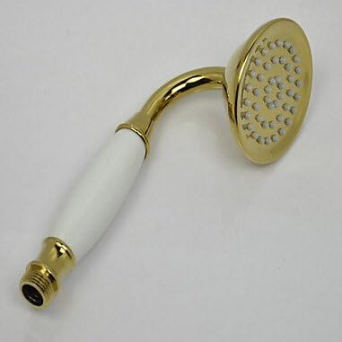 DW Contemporary Ti-PVD Finish Brass Handled Shower Head