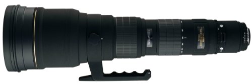 Sigma AF 300-800mm f/5.6 Apo EX DG HSM for Nikon