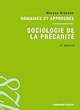 Sociologie de la précarité: Domaines et approches