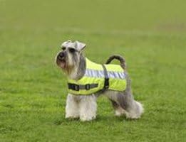 American Pet Diner 100DFHV014 Flectalon Dog Jacket Hi-Viz 14 in.