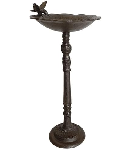 Bain Oiseau Fleur Coupelle à Oiseau Bénitier Sur Pic Fonte Et