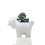3. Forma de uso: escritorio, tipo de suelo, lavabo colgante.