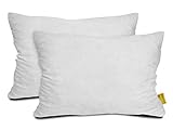 npluseins Füllkissen mit Federfüllung im Doppelpack - Bezug aus 100% Baumwolle - in 8 verschiedenen Größen - hochwertige Qualität - schadstoffgeprüft nach Öko-Tex Standard 100, 40 x 60 cm npluseins Füllkissen mit Federfüllung im Doppelpack - Bezug aus 100% Baumwolle - in 8 verschiedenen Größen - hochwertige Qualität - schadstoffgeprüft nach Öko-Tex Standard 100, 40 x 60 cm