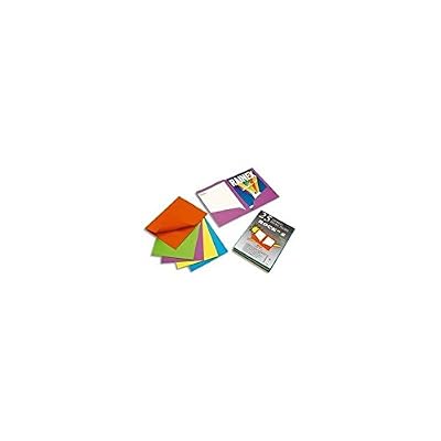 Rainex Paquet de 25 chemises double poche en carton 220g Assorties teintes vives