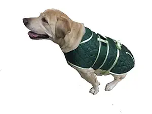 Dark Green Water Proof Wind Cheater Dog/Pup/Pet Quilted Coat/Jacket (XS)