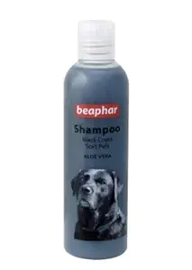 Foodie Puppies Beaphar Black Coats Aloe Vera Shampoo for Dogs, 250ml (Pack of 1)