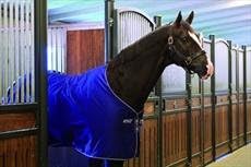 Horseware Ireland Amigo Stable Sheet