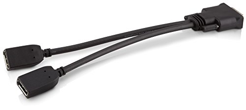 HP DMS-59 to dual DisplayPort Adapter - 2