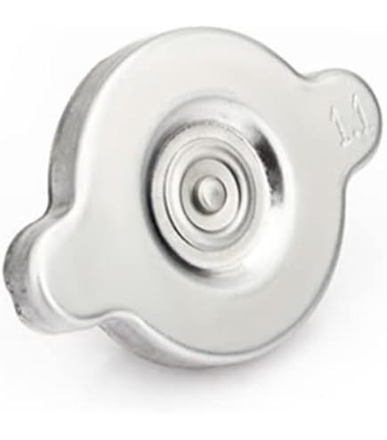 Kühlerdeckel Mit Temperaturanzeige - Smart Für Dein Motorrad