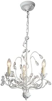 Yuyuan Light American simple crystal chandelier, creative living room hotel bedroom clothing store art decorative ceiling lamp, 3 head luxury retro iron lighting lamp, white E14, not including light bulb