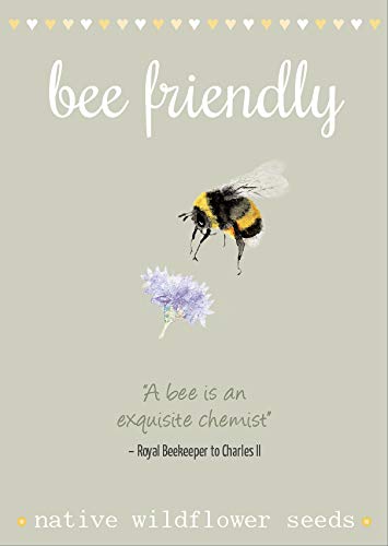 New! Watercolour Style Bee-Friendly Wild Flower Seeds with Quote! Beautiful Native Wild Flowers in Many Colours, Great Gardener Gift. Over 1000 Seeds Per Packet, RHS Perfect for Pollinators Mix.